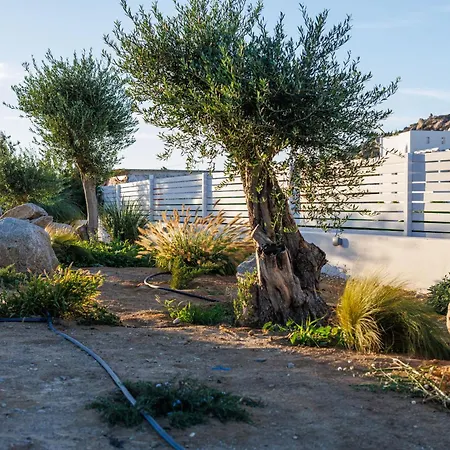 Calmare Collection Pláka