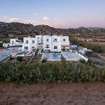 Calmare Collection