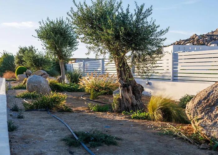 Calmare Collection Plaka (Naxos)